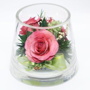 Valentine’s Flowers Natural Pink Roses in a Small Taper-Up Cylinder Glass Vase